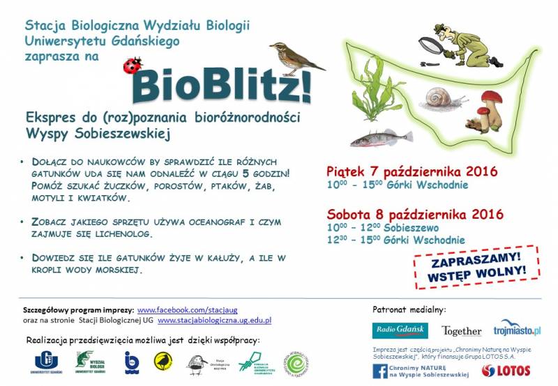 bioblitz na wyspie sobieszewskiej