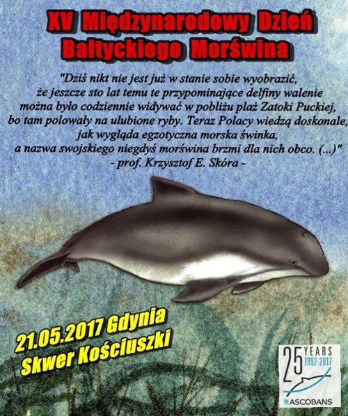 Dzień Morświna